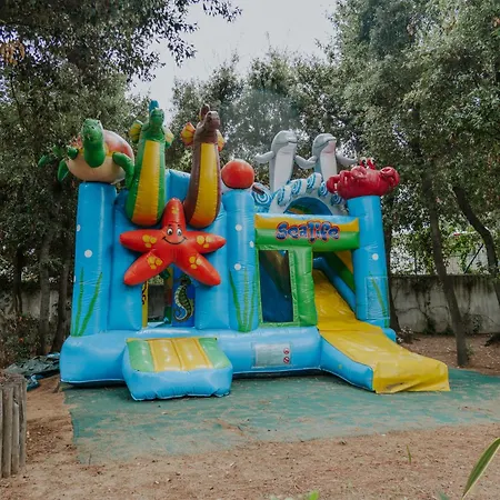 Tatil Evi Il Delfinetto
